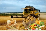 Здоровое питание и фермерские продукты